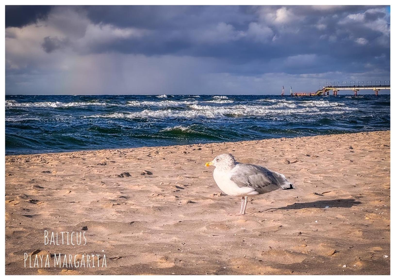 Balticus Playa Margarita Διαμέρισμα Miedzyzdroje Εξωτερικό φωτογραφία